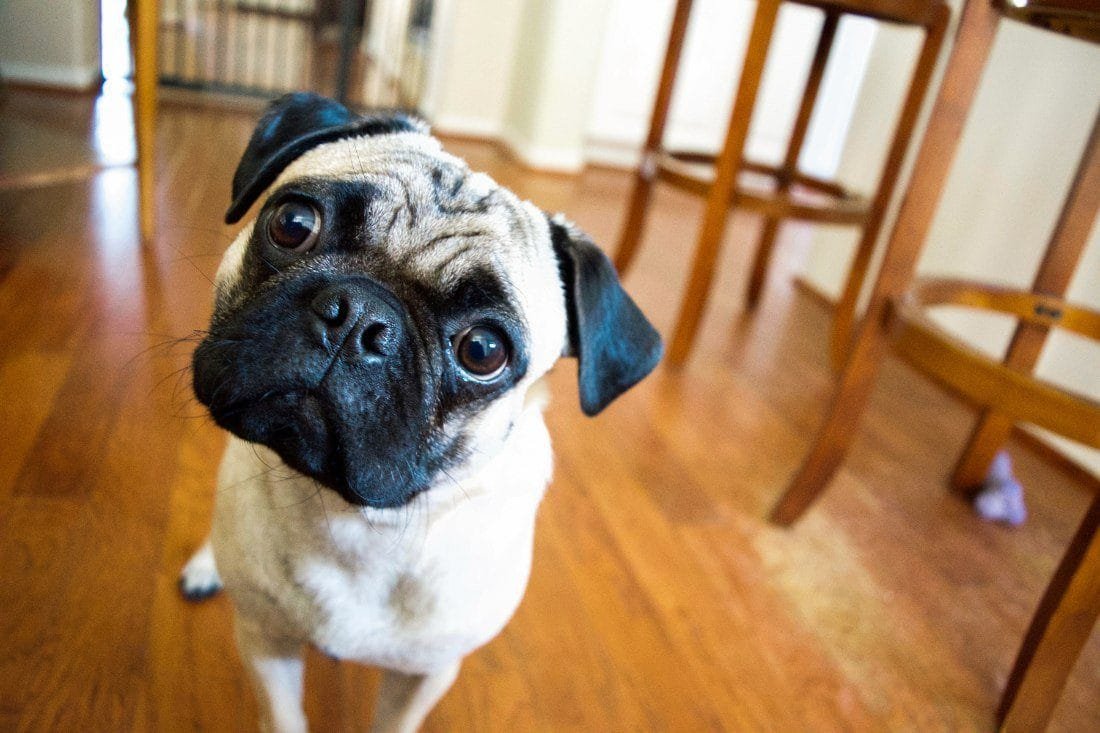 Myth buster: do weekly repayments pay off an offset loan faster?